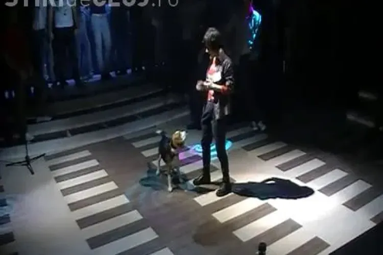 Studentii au talent! Cainele Bailey si stapana lui Iulia au facut furori in clubul Ring 