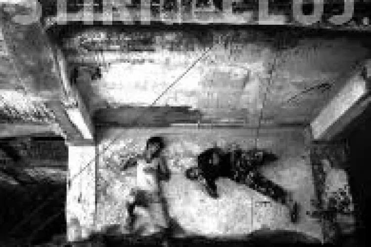 Wasted Youth si Back to TIFF, noile sectiuni ale Festivalului de Film Transilvania