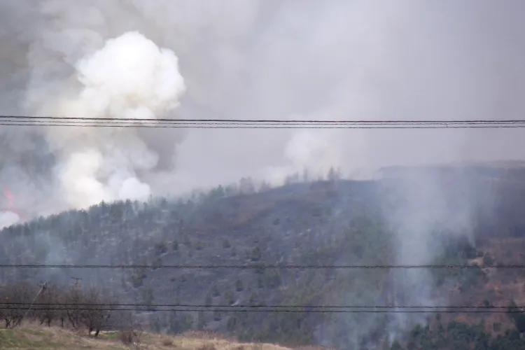 Incendiu de padure la Campenesti! Galerie FOTO