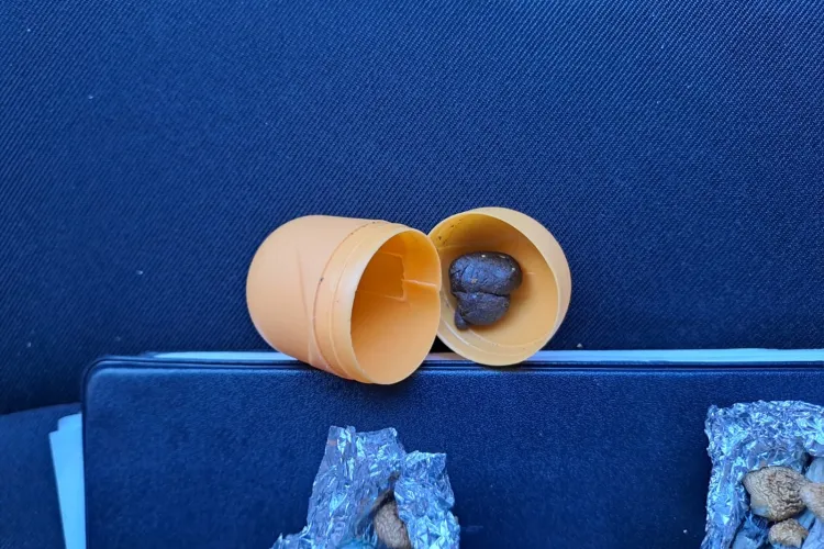 Drogați prinși de jandarmi în Parcul Cetățuia, din Cluj-Napoca. Țineau ”marfa” într-un recipient tip ”ou cu surprize”