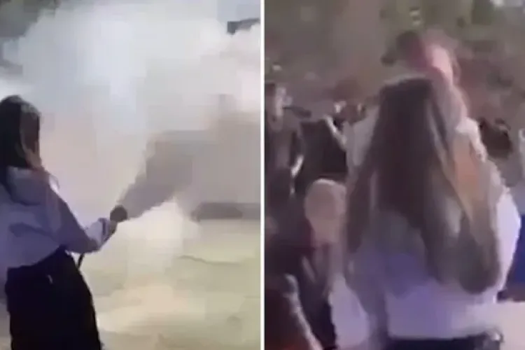 Elevă, lovită de director în curtea liceului: Adolescenta îndrepta extinctorul spre colegi, în timpul unei simulări de incendiu