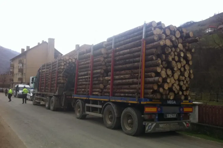 Doi activiști de mediu au sunat la 112 pentru a chema poliţia, la Poliţie. Lemnele tăiate ilegal erau descărcate în curtea sediului poliţiştilor