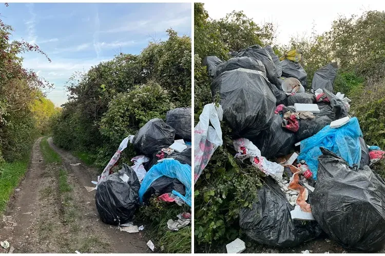 Amendă pe măsura tupeului! Poliția locală Cluj-Napoca a amendat o firmă care a aruncat gunoaie în Dâmbu Rotund - FOTO