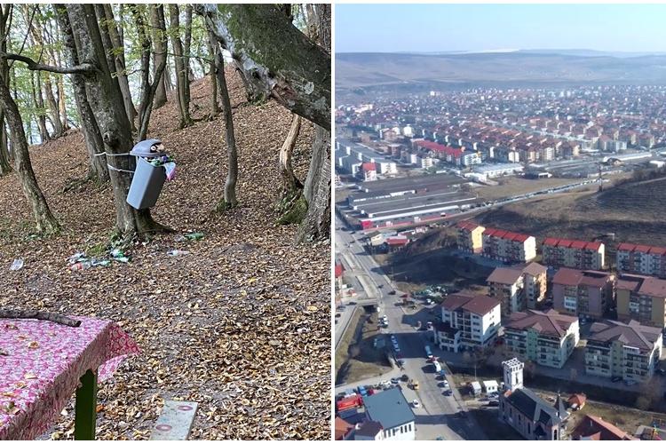 Un bărbat a instalat un coș de gunoi pe un copac din pădurea Florești - FOTO