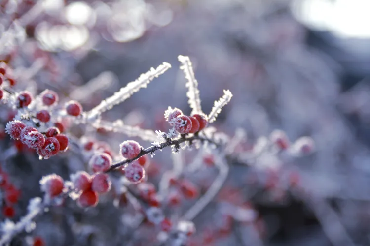 Un val de aer rece lovește România! ANM anunță lapoviță și ninsori 