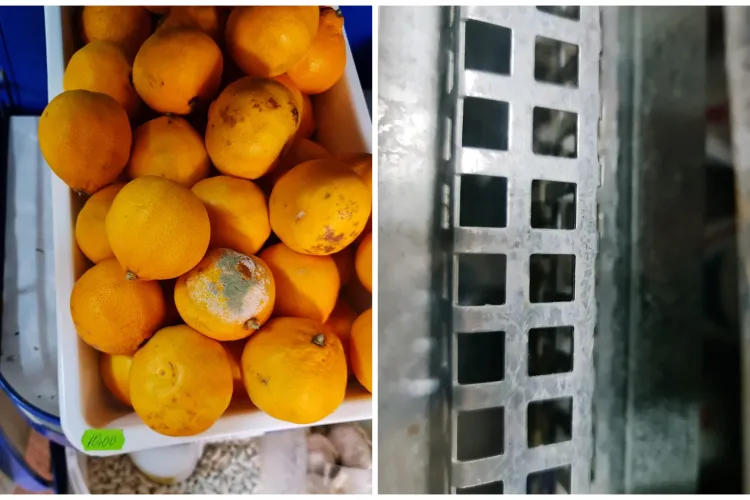 FOTO. Protecția Consumatorilor Cluj a descins la magazinele din comuna Cămărașu: Produse expirate, jucării periculoase și mizerie