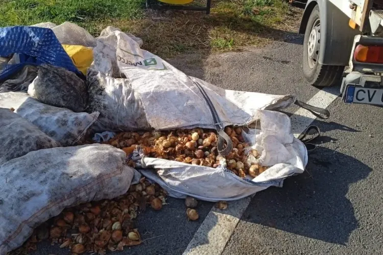 FOTO - Gunoi lăsat de români pe marginea drumurilor. Drumarii au găsit saci cu ceapă, cartofi și foi de varză