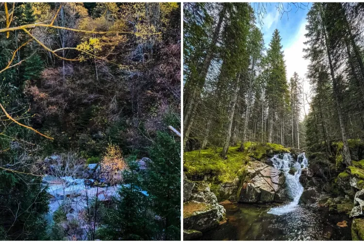 FOTO. Apusul de soare în pădurile din Munții Retezat. Toamna se furișează cu greu în pădurile virgine din Tărâmul cu Ochi Albaştri