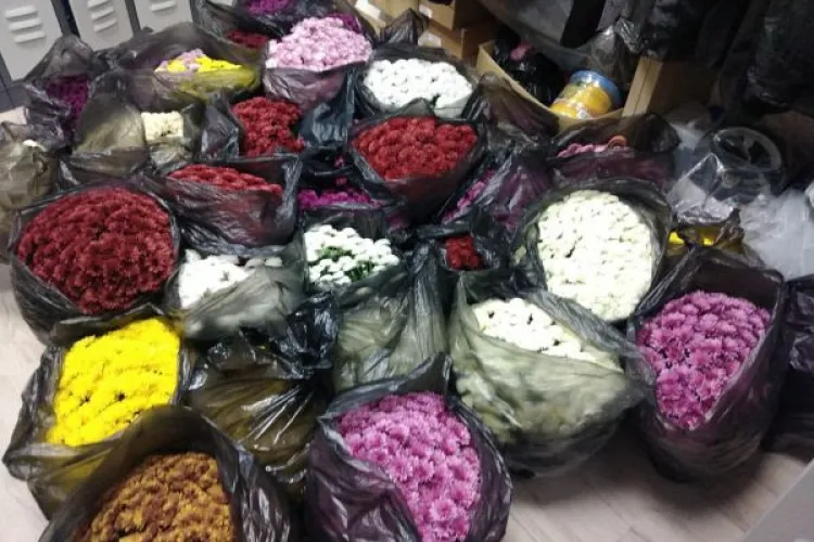 Cluj: Hoț de flori din Cimitirul Mănăștur, prins în flagrant de polițiștii locali