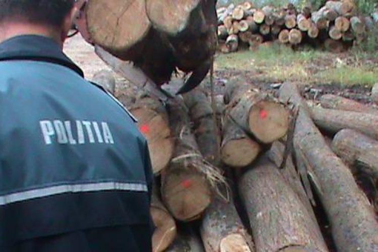 VIDEO. Percheziții la hoții de lemne! Descinderi masive în mai multe localități din Cluj