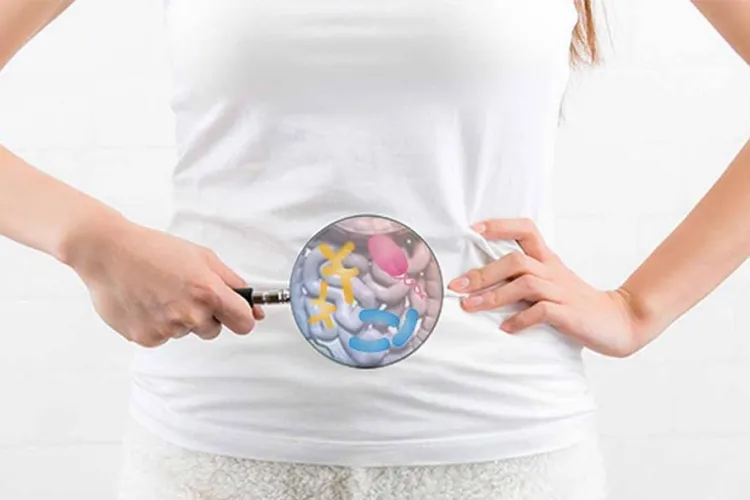 Flora intestinală poate influența dezvoltarea creierului. Ce mâncăm ca să o menținem sănătoasă