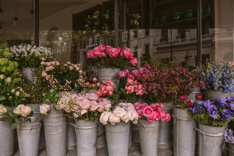 Oradea va avea un automat de flori. Proiectul a fost aprobat de Primărie