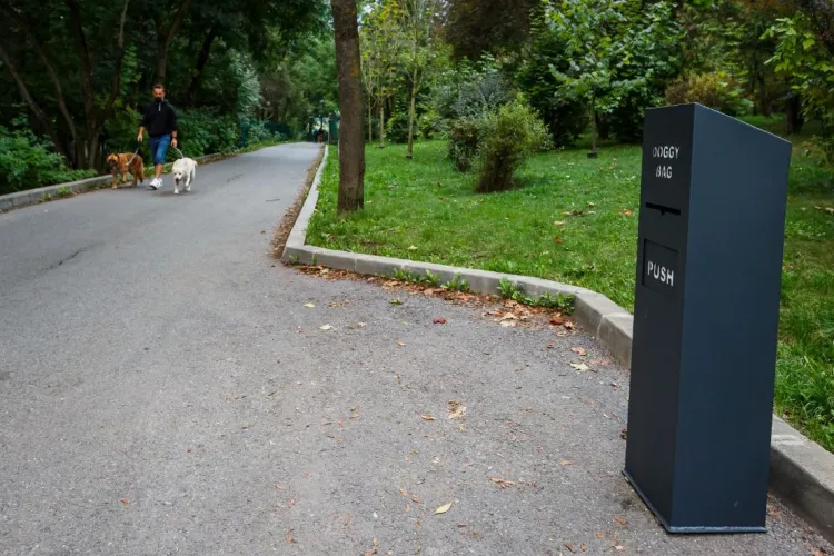 Cluj: Coșurile de gunoi cu pungi pentru câini au costat 24.000 de euro
