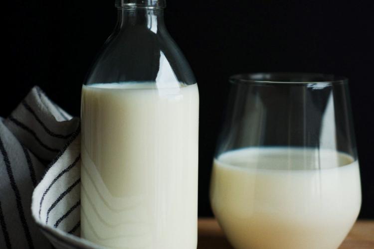Legea laptelui şi a produselor lactate a fost promulgată. Care sunt noile reguli pe care fermierii și comercianții trebuie să le respecte 