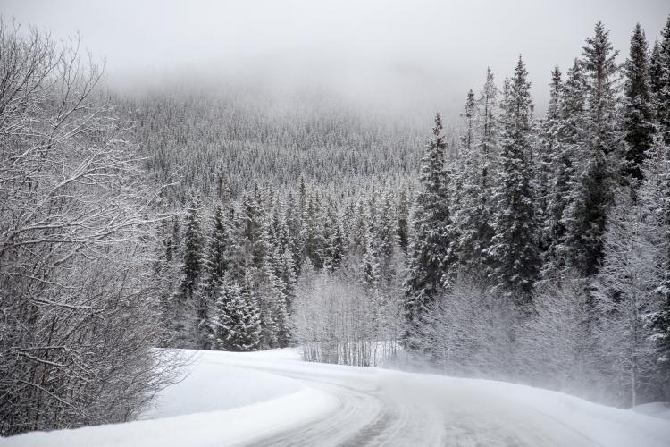 Weekend cu ninsori, ploi și polei! Avertizare meteo de ninsori și viscol în România