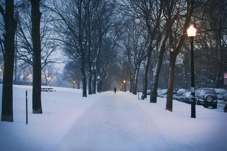 Vin ninsorile în România. Anunţul făcut de meteorologi pentru perioada următoare: Vremea se va răci semnificativ!