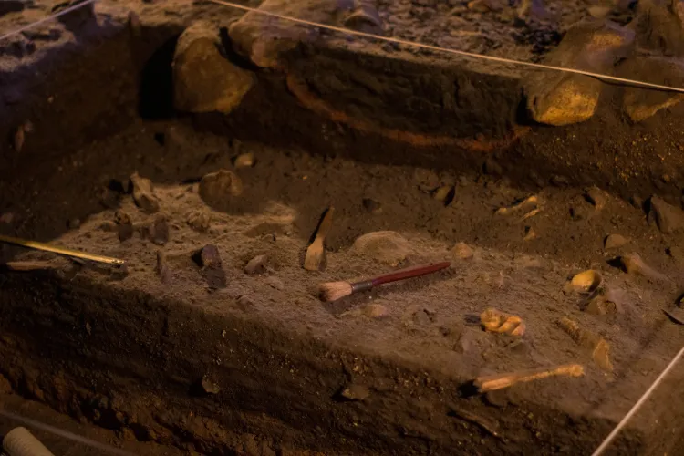 FOTO - Osemintele unor copii, descoperite în urma unor săpături între Turda și Câmpia Turzii. Ce declară arheologii 