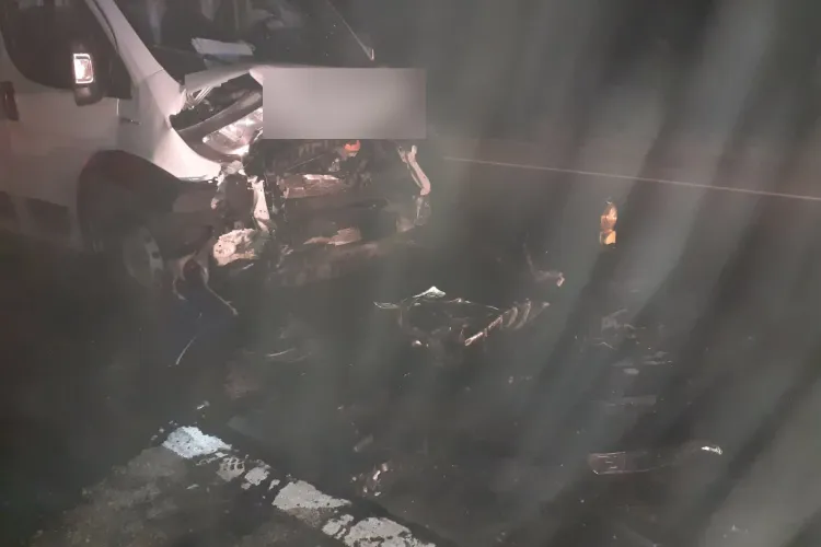 FOTO. Accident în localitatea Livada! Doi bărbați au primit îngrijiri medicale