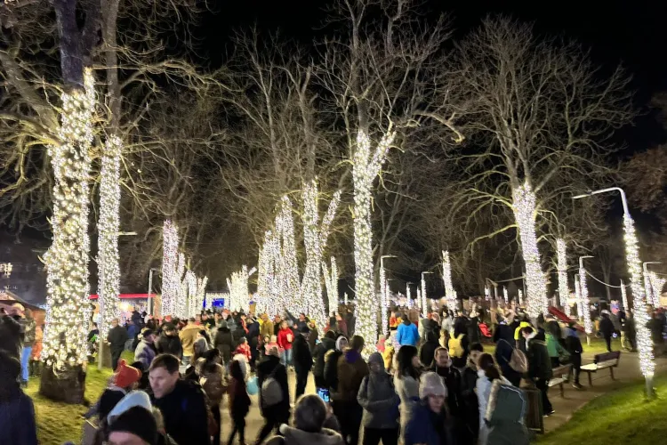 Magie în Târgul de Crăciun din Florești! E cel mai frumos și elegant din ultimii ani - Galerie FOTO