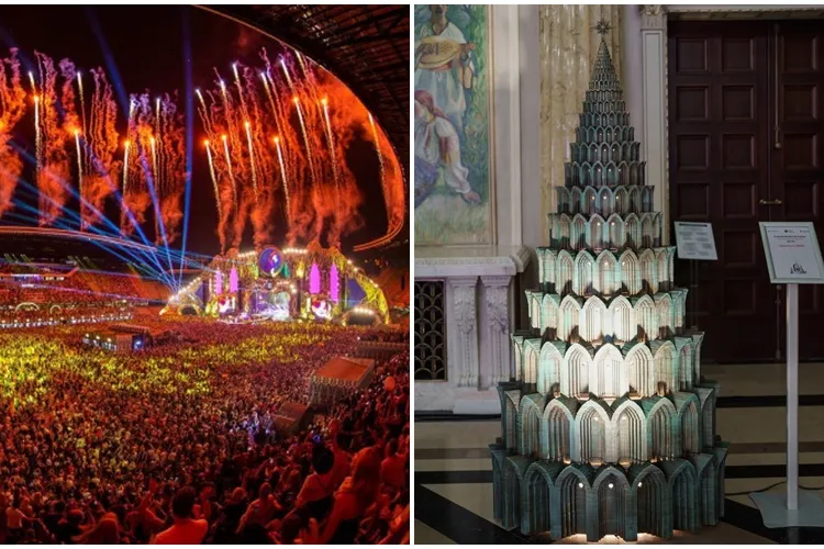 Bradul Untold s-a vândut cu o sumă record. Cine a licitat și unde merg banii - FOTO