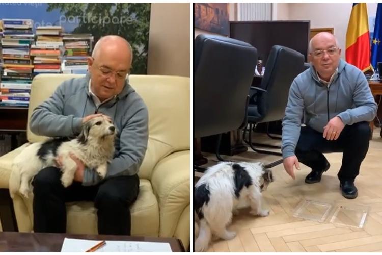 Emil Boc a salvat un câine și acum îi caută stăpânul - FOTO și VIDEO