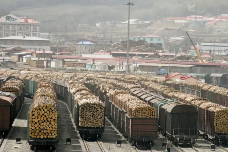 Lemnul românesc merge în Austria, la cei care nu ne-au primit în Schengen: Abia trage trenul cele 40 de vagoane - VIDEO