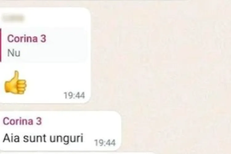 FOTO - Directoarea unei școli, demisă după ce a marginalizat elevii maghiari: „Nu îi chemăm. Ei sărbătoresc pe 14 martie”