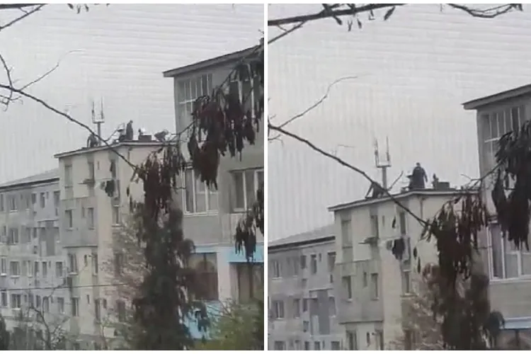 Ardeleni filmați când tăiau porcul pe bloc! Acolo l-au și pârlit - FOTO