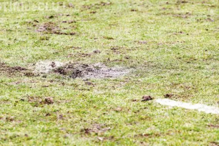 Tișe: Cluj Arena va avea cel mai bun gazon de pe piață. Criza energiei electrice a afectat calitatea gazonului 