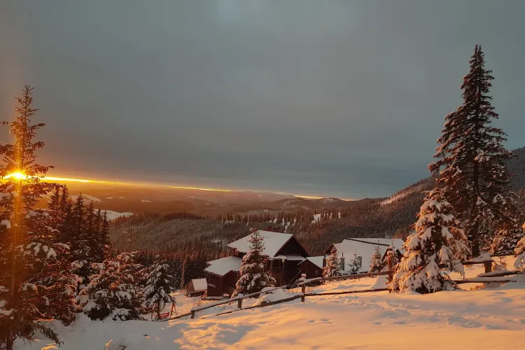 Iarnă în toată regula la Vlădeasa! Fotografie excelentă cu natura și muntele - FOTO