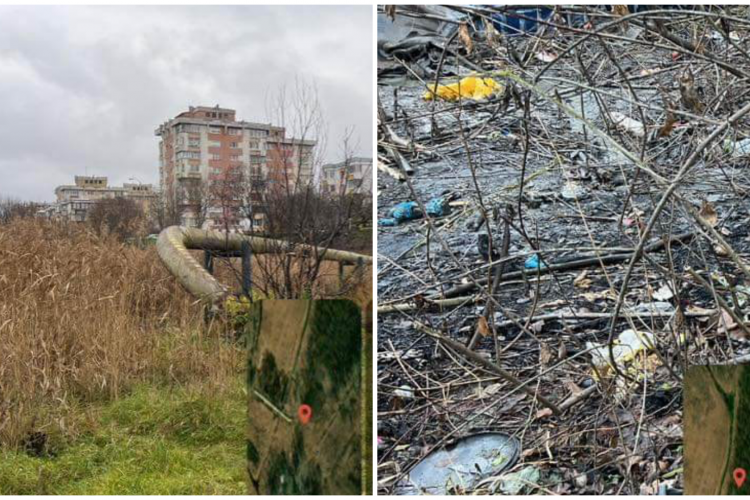 FOTO. Dezastru ecologic în Parcul Est, zona „Între Lacuri”. Tone de gunoi și colibe instalate: „Primăria Cluj-Napoca este principala responsabilă”