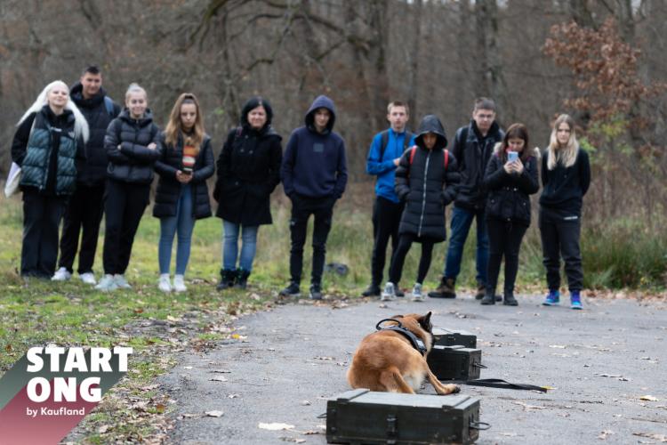 Animalele sălbatice au nevoie de ajutor! Campanie de sensibilizare a adulților și elevilor din județ derulată de Organizația pentru Protecția Mediului Cluj