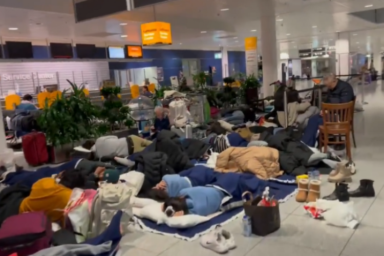 VIDEO - Sute de români blocați în aeroporturile din Germania. Mai multe zboruri spre Cluj-Napoca au fost anulate din cauza ninsorilor