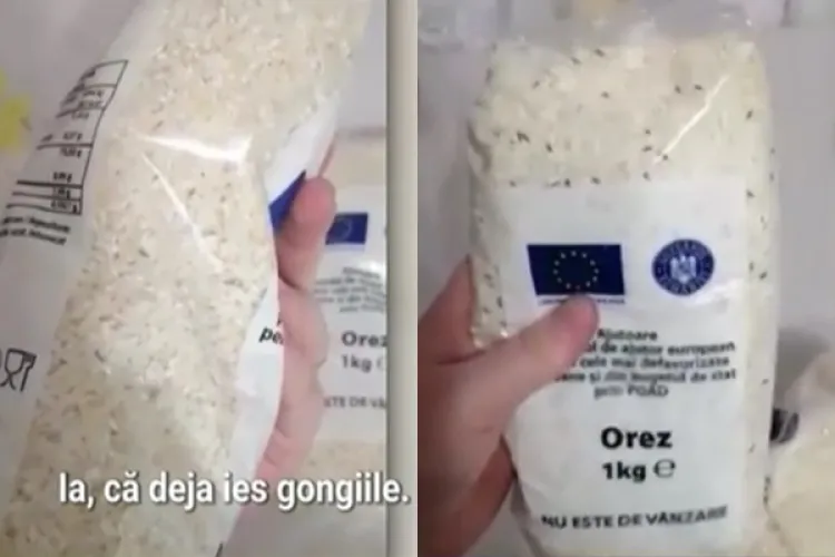 Ajutoare alimentare, pline cu insecte. Nimeni nu-și asumă vina: „Poate să fie de la noi, dar pot fi și de la ei, sau răufăcători”
