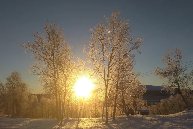 Vremea pare să uite de data din calendar! Cea mai călduroasă dimineaţă de 17 decembrie din ultimii 60 de ani