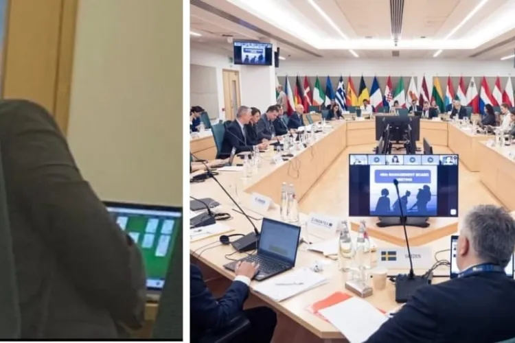 Polițiștii de la EUROPOL: „Șeful Inspectoratului General pentru Imigrări se juca Solitaire la o conferință despre migrație”