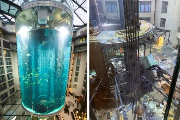 VIDEO - Cel mai mare acvariu cilindric din lume a explodat: 1.500 de pești exotici se aflau în acvariul din Berlin