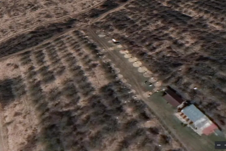 Poliția animalelor Cluj e BĂTAIE de JOC! A vizitat ringurile unde se țineau lupte ilegale de câini din Baciu și nu a văzut nimic suspect - FOTO