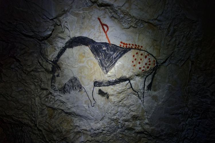 Descoperire inedită făcută de un om de rând: A descifrat o pictură rupestră veche de 20.000 de ani 