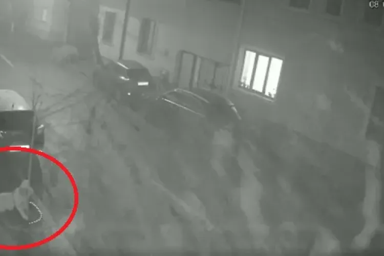 VIDEO -  Atac violent pe o stradă din Târgu Mureș: O tânără, lovită cu bestialitate de doi indivizi 