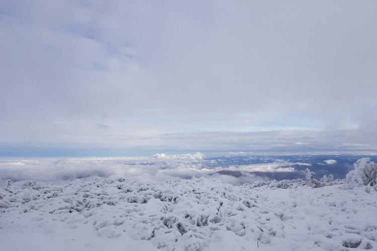 Zăpada s-a așternut pe vârful Vlădeasa, la cota 1400 - FOTO