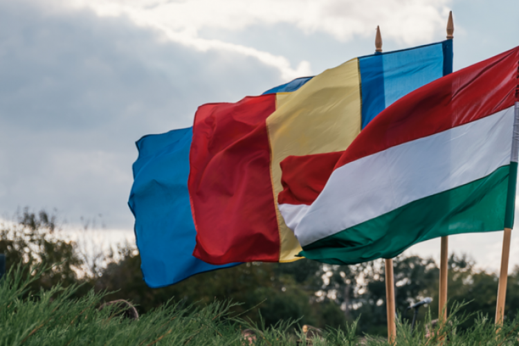 Experții maghiari contestă datele provizorii ale Recensământului din România: Acuză erori de procedură