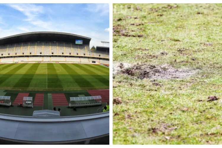 Gazonul de pe Cluj Arena va fi schimbat din bani publici. Valoarea contractului depășește 3 milioane de lei