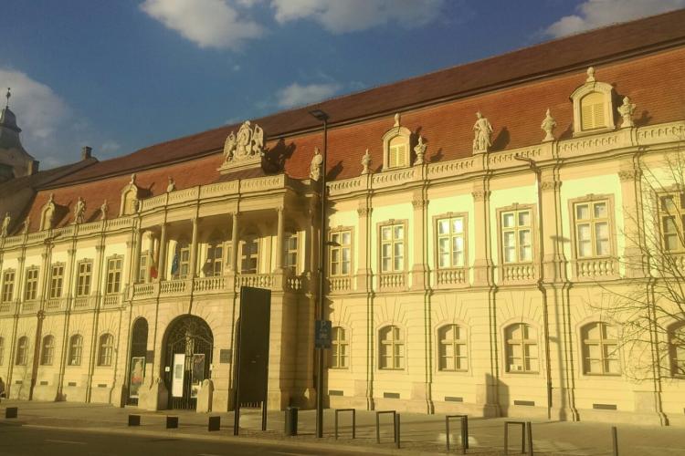 Muzeele din Cluj au atras, și în 2022, zeci de mii vizitatori din toate colțurile lumii
