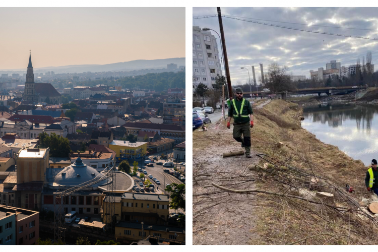 Studiu Euronews: Record trist pentru Cluj-Napoca, orașul european cu cele mai multe decese premature din cauza lipsei copacilor!