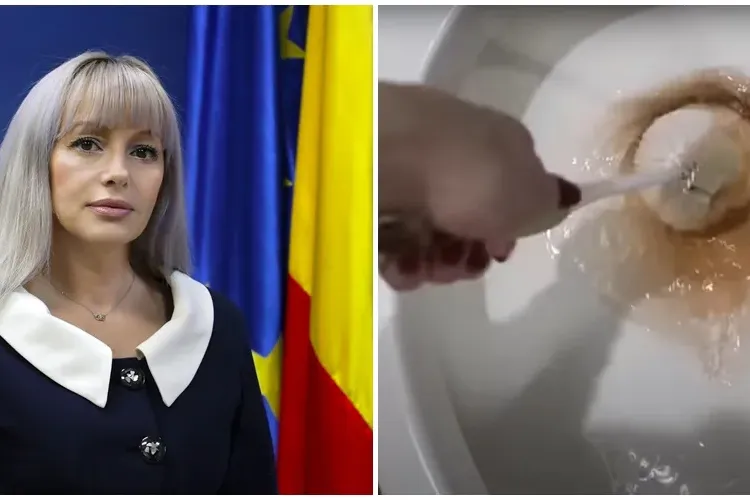 Angajații din Primărie puși ca ”sclavii” să facă curat în casa Ștefaniei Ferencz, ”blonda lui Boc” și mâna dreaptă a ministrului de Interne, Lucian Bode 