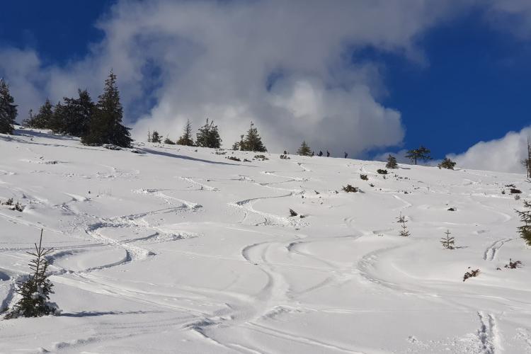 Iarnă bestială la Vlădeasa! Pentru zăpadă și natură nu trebuie mers numai la Băișoara - FOTO