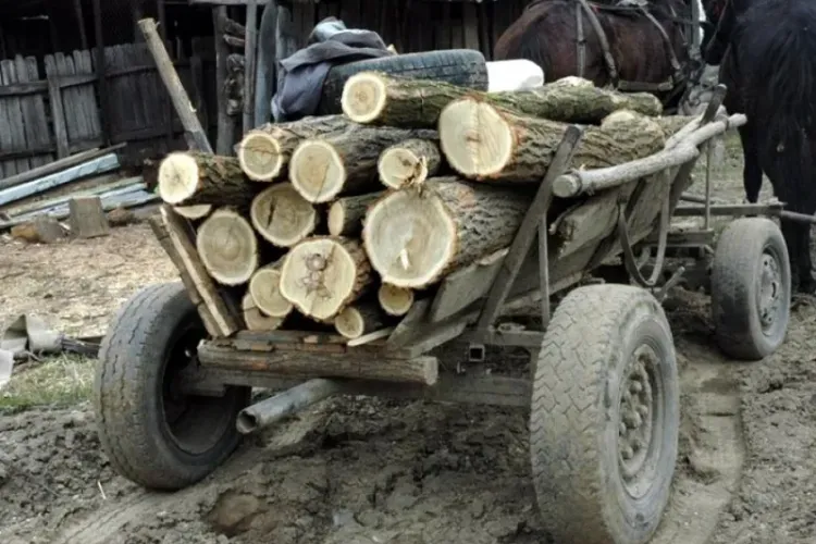 Tragedie pe un drum din Ardeal! O fetiță a fost prinsă sub o căruță cu lemne