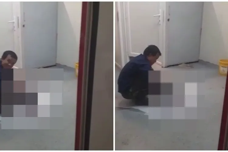 Cluj: Vietnamezii filmați când pregăteau șobolanii pentru a-i mânca: Fac asta si cu păsările sălbatice - VIDEO