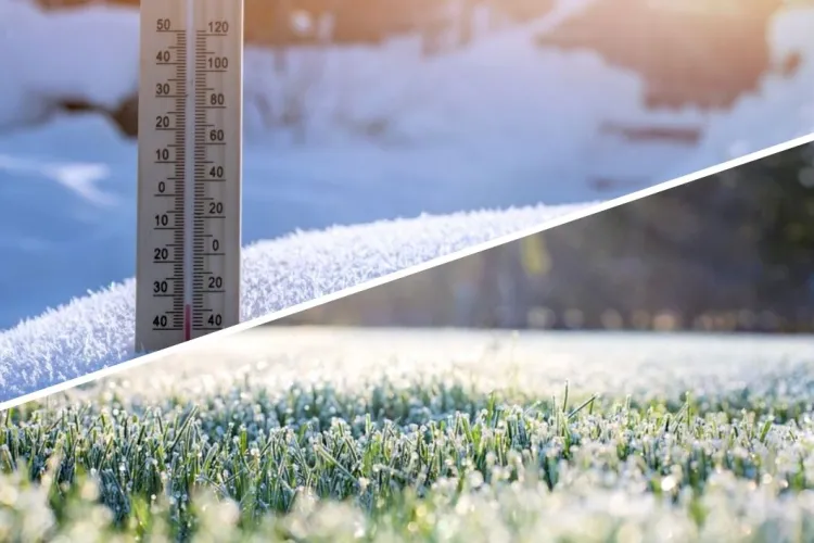 Vremea continuă să se încălzească în următoarele zile în toată țara, însă, temperaturile vor scădea din nou la începutul lunii martie